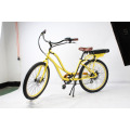 cheap factory wholesale price fat tire electric beach cruiser 48V electric bicycle for lady